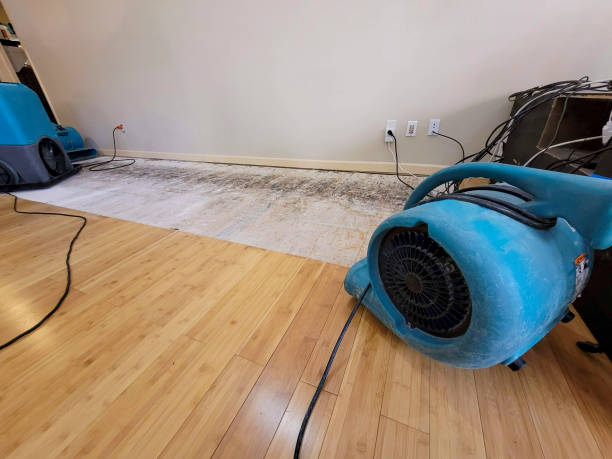 Professional Basement Flood Cleanup technician working in Mayer, AZ